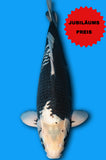 Karashi Ginga (ID4554 B2)