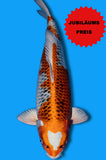 Karashi Kujaku (ID9366 B2)